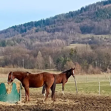 Prázdninový dům Evička A Jiříček Raskovice