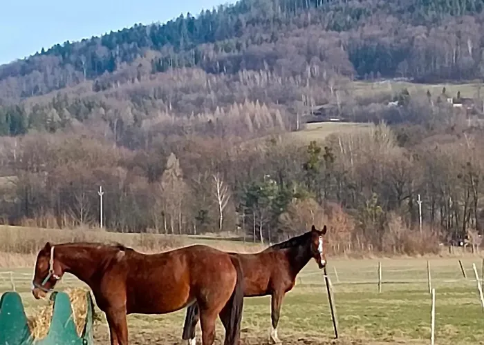 Tatil Evi Evicka A Jiricek Raskovice