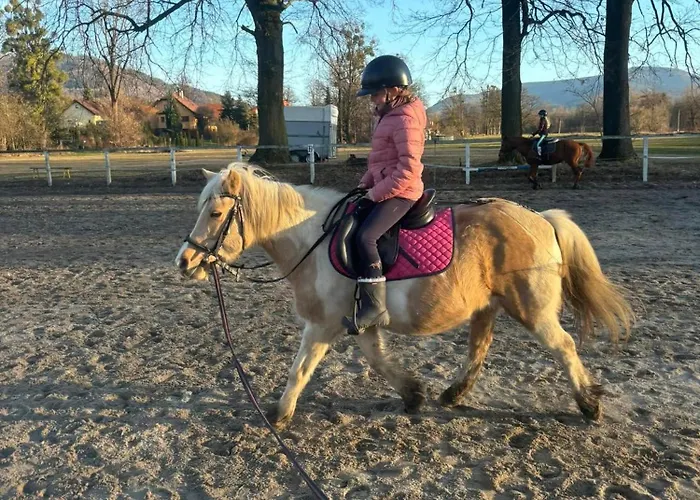 Tatil Evi Evicka A Jiricek