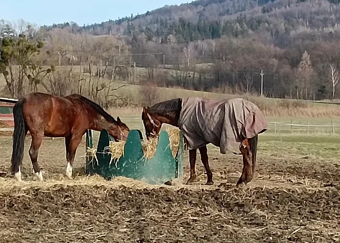 Vakantiehuis Evicka A Jiricek Raskovice